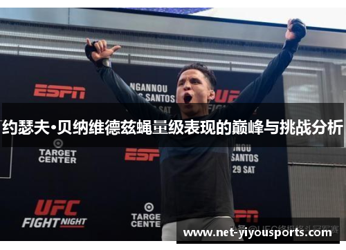 约瑟夫·贝纳维德兹蝇量级表现的巅峰与挑战分析
